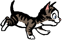Walking Kitten